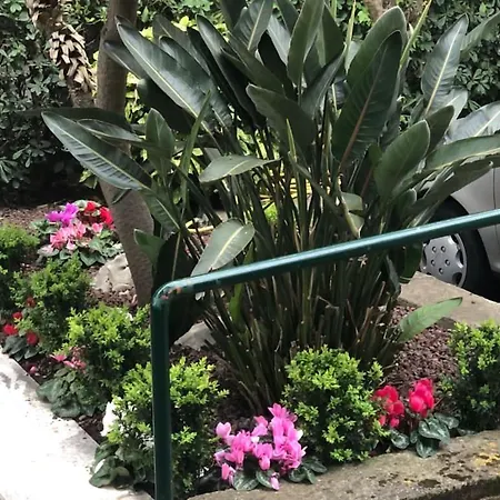 Appartamento Casa Bijoux